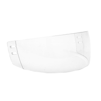 2010: GY Ice Hockey Visor